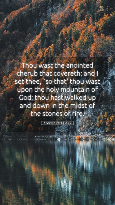 Picture 05 - Ezekiel 28:14 ASV Mobile Phone Wallpaper - Thou wast the anointed cherub that covereth: and - Mobile Bible Verse Wallpaper