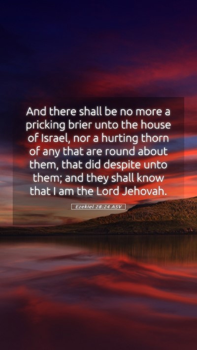 Picture 05 - Ezekiel 28:24 ASV Mobile Phone Wallpaper - And there shall be no more a pricking brier unto - Mobile Bible Verse Wallpaper