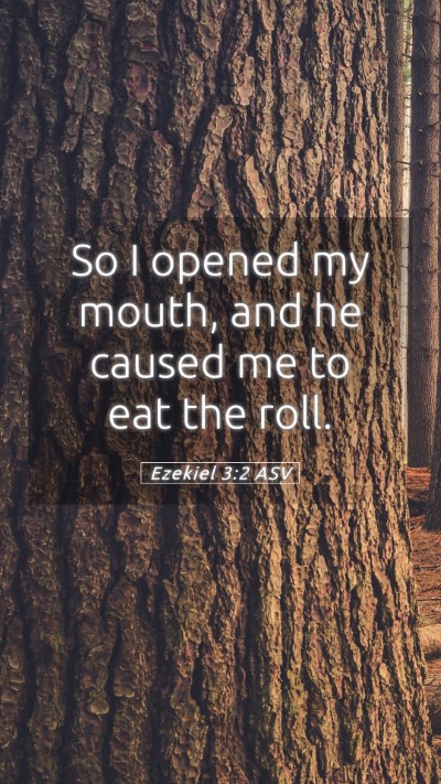Picture 05 - Ezekiel 3:2 ASV Mobile Phone Wallpaper - So I opened my mouth, and he caused me to eat the - Mobile Bible Verse Wallpaper