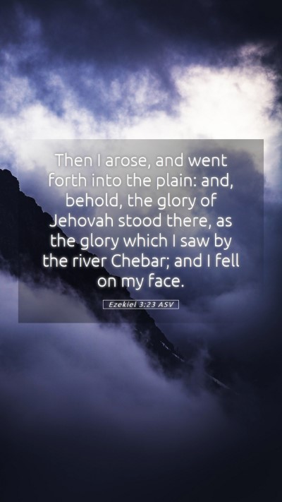 Picture 05 - Ezekiel 3:23 ASV Mobile Phone Wallpaper - Then I arose, and went forth into the plain: and, - Mobile Bible Verse Wallpaper