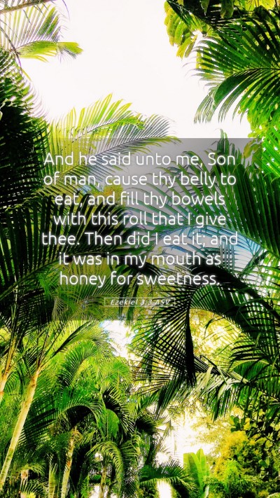 Picture 05 - Ezekiel 3:3 ASV Mobile Phone Wallpaper - And he said unto me, Son of man, cause thy belly - Mobile Bible Verse Wallpaper