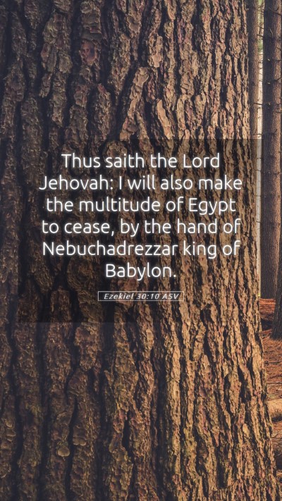 Picture 05 - Ezekiel 30:10 ASV Mobile Phone Wallpaper - Thus saith the Lord Jehovah: I will also make the - Mobile Bible Verse Wallpaper