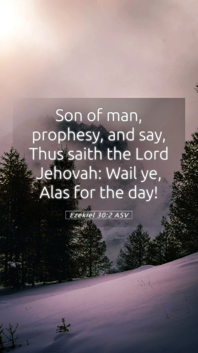 Picture 05 - Ezekiel 30:2 ASV Mobile Phone Wallpaper - Son of man, prophesy, and say, Thus saith the - Mobile Bible Verse Wallpaper