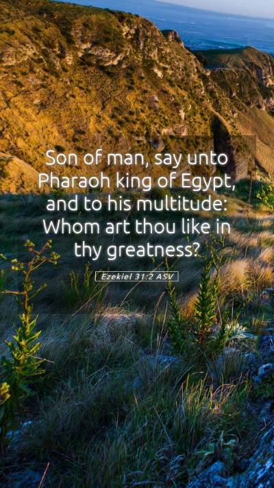 Picture 05 - Ezekiel 31:2 ASV Mobile Phone Wallpaper - Son of man, say unto Pharaoh king of Egypt, and - Mobile Bible Verse Wallpaper