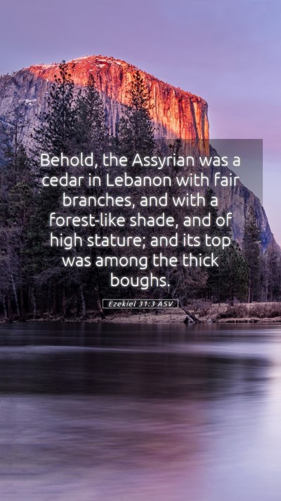Picture 05 - Ezekiel 31:3 ASV Mobile Phone Wallpaper - Behold, the Assyrian was a cedar in Lebanon with - Mobile Bible Verse Wallpaper
