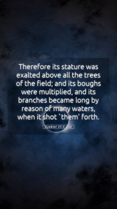 Picture 05 - Ezekiel 31:5 ASV Mobile Phone Wallpaper - Therefore its stature was exalted above all the - Mobile Bible Verse Wallpaper