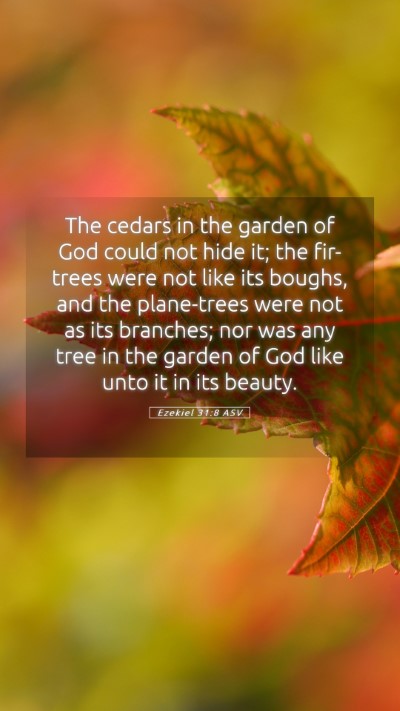 Picture 05 - Ezekiel 31:8 ASV Mobile Phone Wallpaper - The cedars in the garden of God could not hide - Mobile Bible Verse Wallpaper