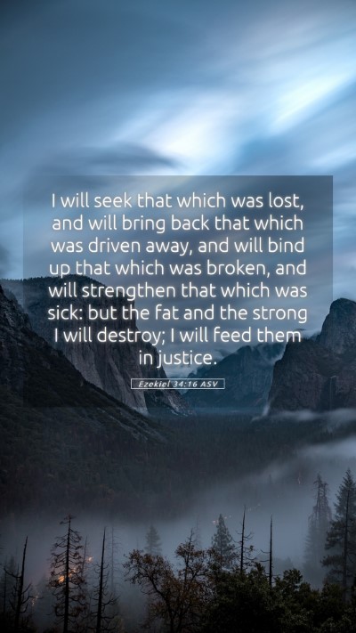 Picture 05 - Ezekiel 34:16 ASV Mobile Phone Wallpaper - I will seek that which was lost, and will bring - Mobile Bible Verse Wallpaper