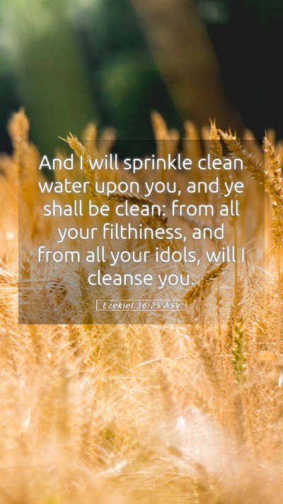 Picture 05 - Ezekiel 36:25 ASV Mobile Phone Wallpaper - And I will sprinkle clean water upon you, and ye - Mobile Bible Verse Wallpaper