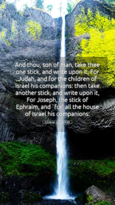 Picture 05 - Ezekiel 37:16 ASV Mobile Phone Wallpaper - And thou, son of man, take thee one stick, and - Mobile Bible Verse Wallpaper