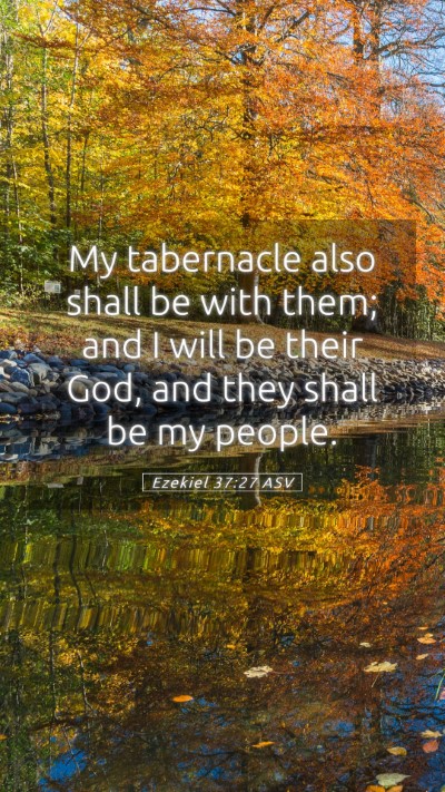 Picture 05 - Ezekiel 37:27 ASV Mobile Phone Wallpaper - My tabernacle also shall be with them; and I will - Mobile Bible Verse Wallpaper