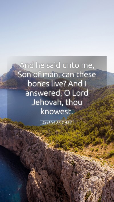 Picture 05 - Ezekiel 37:3 ASV Mobile Phone Wallpaper - And he said unto me, Son of man, can these bones - Mobile Bible Verse Wallpaper