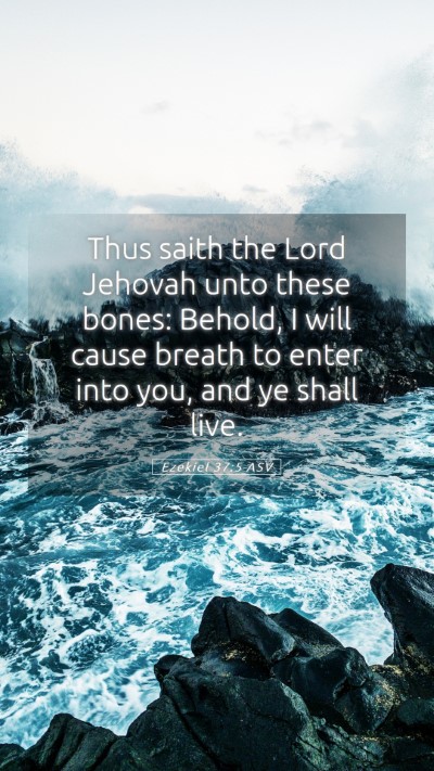 Picture 05 - Ezekiel 37:5 ASV Mobile Phone Wallpaper - Thus saith the Lord Jehovah unto these bones: - Mobile Bible Verse Wallpaper