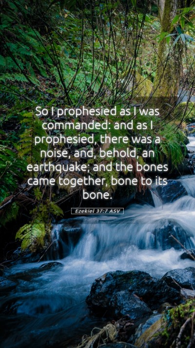 Picture 05 - Ezekiel 37:7 ASV Mobile Phone Wallpaper - So I prophesied as I was commanded: and as I - Mobile Bible Verse Wallpaper