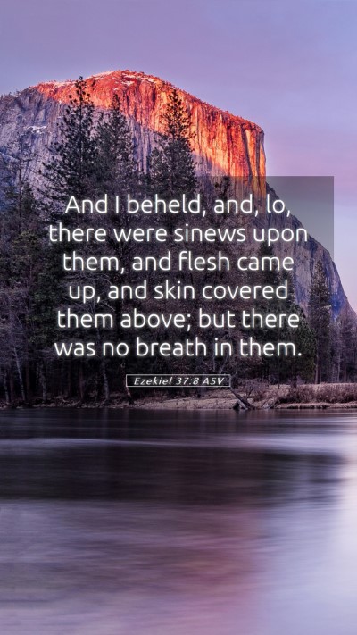 Picture 05 - Ezekiel 37:8 ASV Mobile Phone Wallpaper - And I beheld, and, lo, there were sinews upon - Mobile Bible Verse Wallpaper