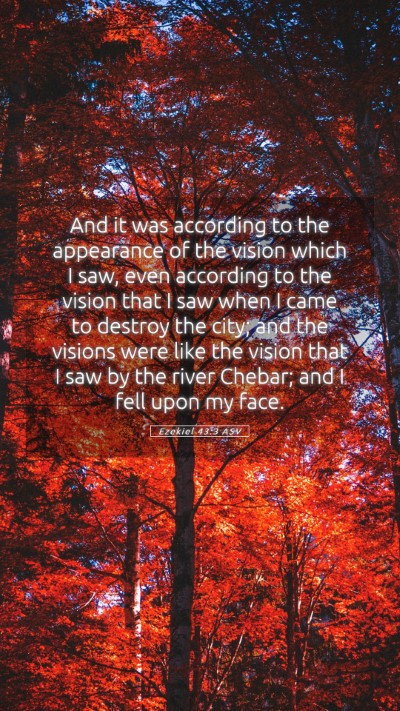 Picture 05 - Ezekiel 43:3 ASV Mobile Phone Wallpaper - And it was according to the appearance of the - Mobile Bible Verse Wallpaper