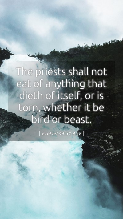 Picture 05 - Ezekiel 44:31 ASV Mobile Phone Wallpaper - The priests shall not eat of anything that dieth - Mobile Bible Verse Wallpaper