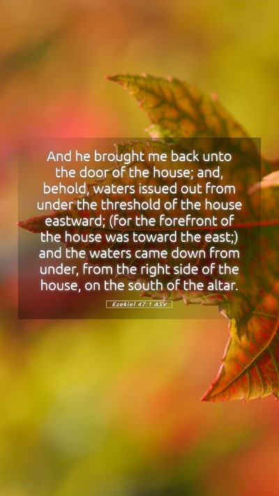 Picture 05 - Ezekiel 47:1 ASV Mobile Phone Wallpaper - And he brought me back unto the door of the - Mobile Bible Verse Wallpaper