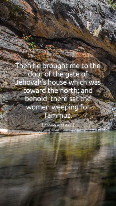 Picture 05 - Ezekiel 8:14 ASV Mobile Phone Wallpaper - Then he brought me to the door of the gate of - Mobile Bible Verse Wallpaper