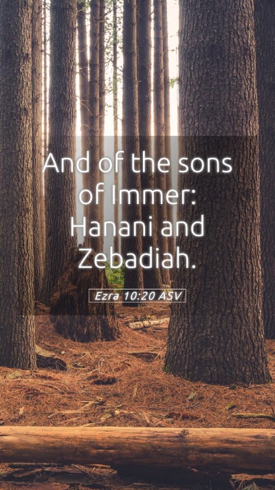 Picture 05 - Ezra 10:20 ASV Mobile Phone Wallpaper - And of the sons of Immer: Hanani and - Mobile Bible Verse Wallpaper