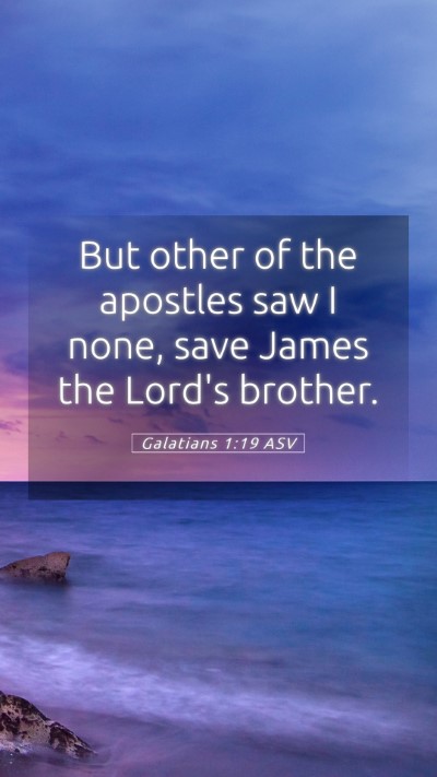 Picture 05 - Galatians 1:19 ASV Mobile Phone Wallpaper - But other of the apostles saw I none, save James - Mobile Bible Verse Wallpaper