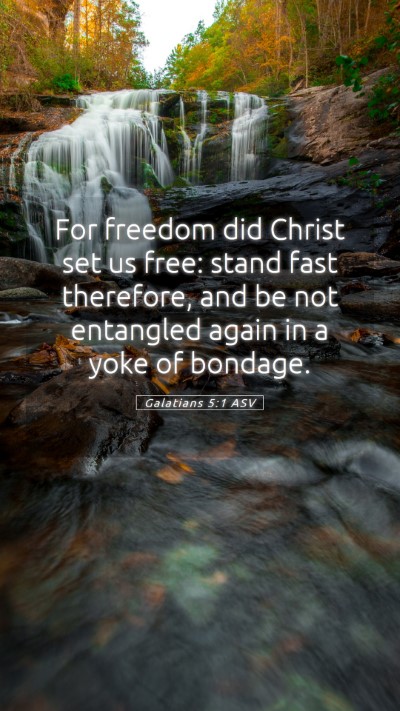 Picture 05 - Galatians 5:1 ASV Mobile Phone Wallpaper - For freedom did Christ set us free: stand fast - Mobile Bible Verse Wallpaper