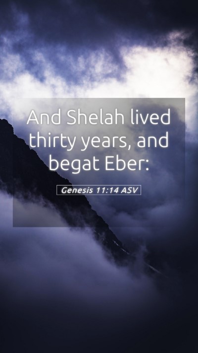 Picture 05 - Genesis 11:14 ASV Mobile Phone Wallpaper - And Shelah lived thirty years, and begat - Mobile Bible Verse Wallpaper