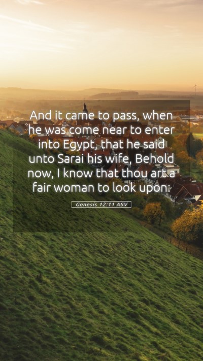 Picture 05 - Genesis 12:11 ASV Mobile Phone Wallpaper - And it came to pass, when he was come near to - Mobile Bible Verse Wallpaper