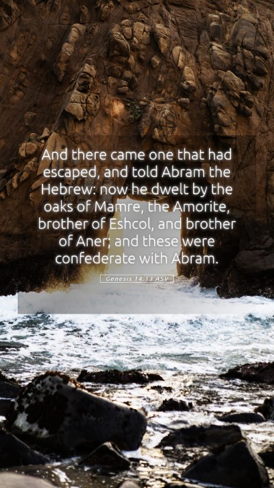Picture 05 - Genesis 14:13 ASV Mobile Phone Wallpaper - And there came one that had escaped, and told - Mobile Bible Verse Wallpaper