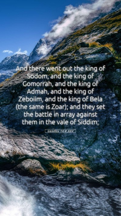 Picture 05 - Genesis 14:8 ASV Mobile Phone Wallpaper - And there went out the king of Sodom, and the - Mobile Bible Verse Wallpaper