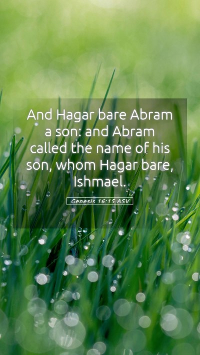 Picture 05 - Genesis 16:15 ASV Mobile Phone Wallpaper - And Hagar bare Abram a son: and Abram called the - Mobile Bible Verse Wallpaper