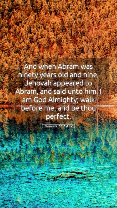 Picture 05 - Genesis 17:1 ASV Mobile Phone Wallpaper - And when Abram was ninety years old and nine, - Mobile Bible Verse Wallpaper