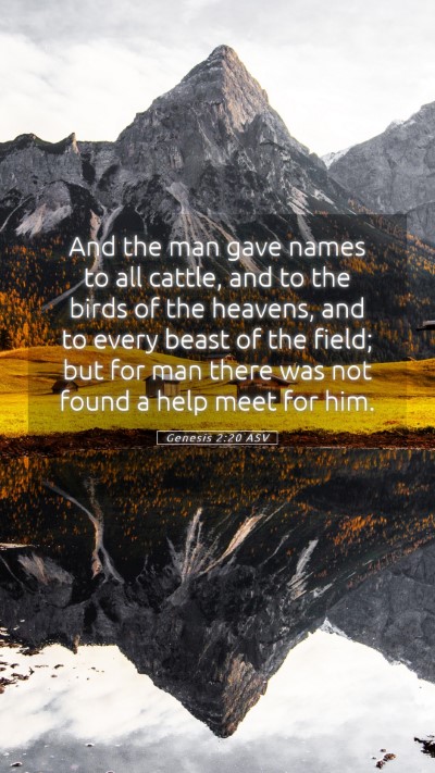 Picture 05 - Genesis 2:20 ASV Mobile Phone Wallpaper - And the man gave names to all cattle, and to the - Mobile Bible Verse Wallpaper