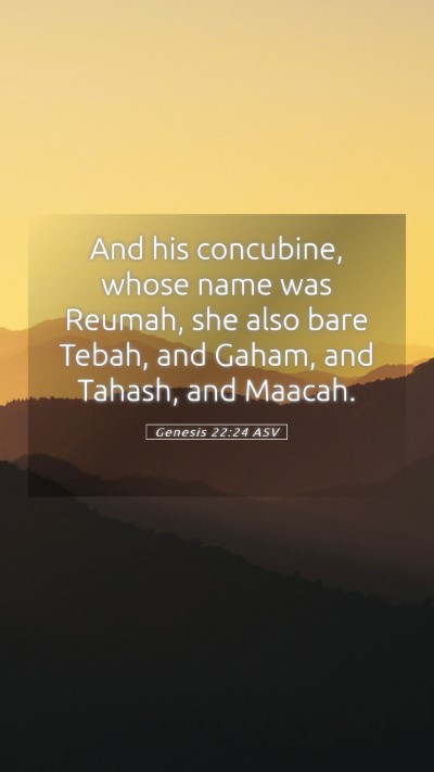 Picture 05 - Genesis 22:24 ASV Mobile Phone Wallpaper - And his concubine, whose name was Reumah, she - Mobile Bible Verse Wallpaper