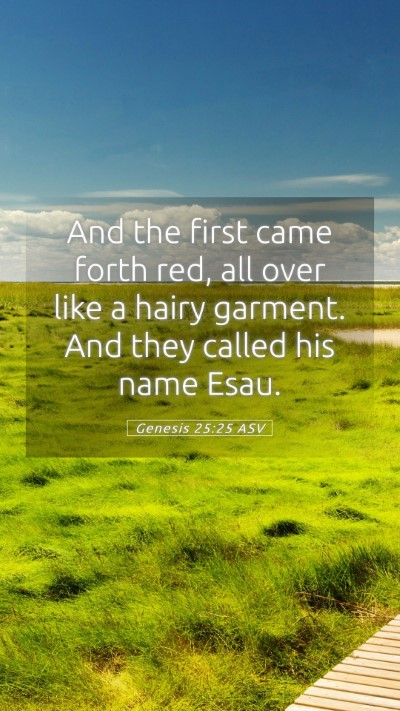 Picture 05 - Genesis 25:25 ASV Mobile Phone Wallpaper - And the first came forth red, all over like a - Mobile Bible Verse Wallpaper
