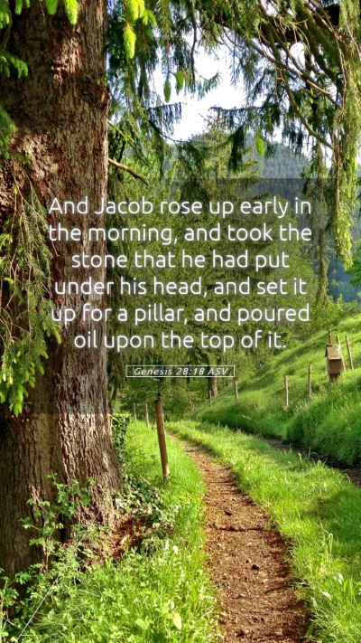 Picture 05 - Genesis 28:18 ASV Mobile Phone Wallpaper - And Jacob rose up early in the morning, and took - Mobile Bible Verse Wallpaper