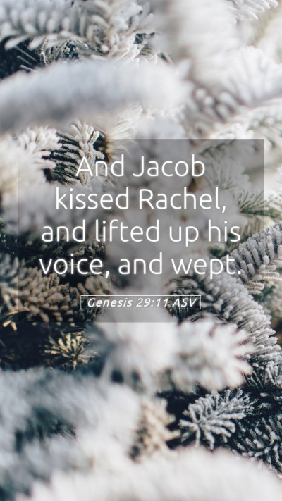 Picture 05 - Genesis 29:11 ASV Mobile Phone Wallpaper - And Jacob kissed Rachel, and lifted up his voice, - Mobile Bible Verse Wallpaper