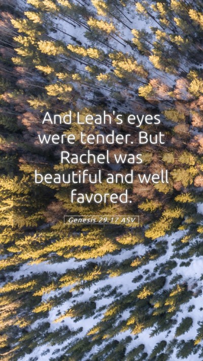 Picture 05 - Genesis 29:17 ASV Mobile Phone Wallpaper - And Leah's eyes were tender. But Rachel was - Mobile Bible Verse Wallpaper
