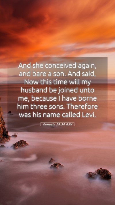 Picture 05 - Genesis 29:34 ASV Mobile Phone Wallpaper - And she conceived again, and bare a son. And - Mobile Bible Verse Wallpaper