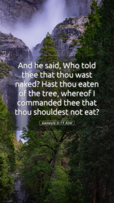 Picture 05 - Genesis 3:11 ASV Mobile Phone Wallpaper - And he said, Who told thee that thou wast naked? - Mobile Bible Verse Wallpaper