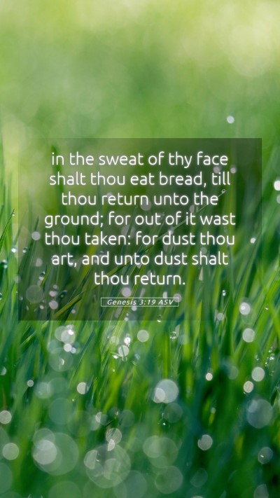 Picture 05 - Genesis 3:19 ASV Mobile Phone Wallpaper - in the sweat of thy face shalt thou eat bread, - Mobile Bible Verse Wallpaper