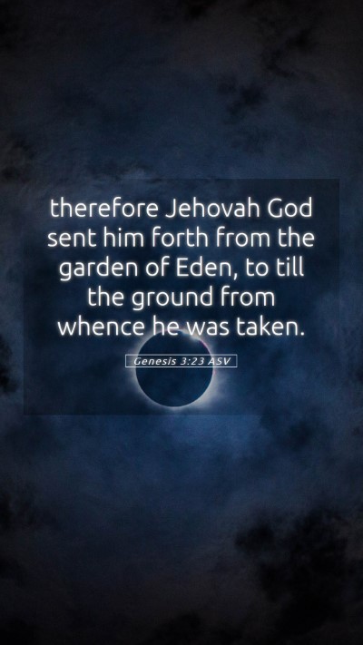 Picture 05 - Genesis 3:23 ASV Mobile Phone Wallpaper - therefore Jehovah God sent him forth from the - Mobile Bible Verse Wallpaper