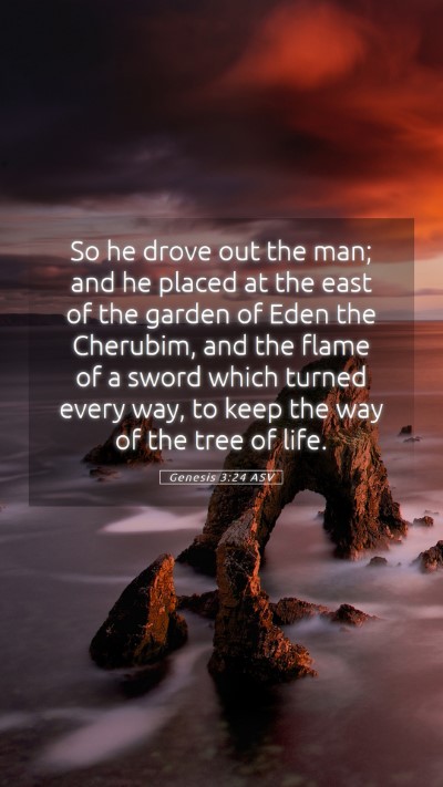 Picture 05 - Genesis 3:24 ASV Mobile Phone Wallpaper - So he drove out the man; and he placed at the - Mobile Bible Verse Wallpaper