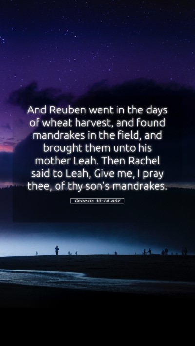Picture 05 - Genesis 30:14 ASV Mobile Phone Wallpaper - And Reuben went in the days of wheat harvest, and - Mobile Bible Verse Wallpaper