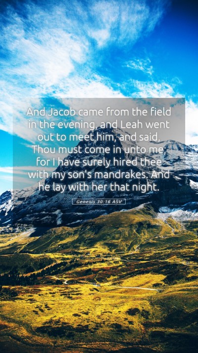 Picture 05 - Genesis 30:16 ASV Mobile Phone Wallpaper - And Jacob came from the field in the evening, and - Mobile Bible Verse Wallpaper