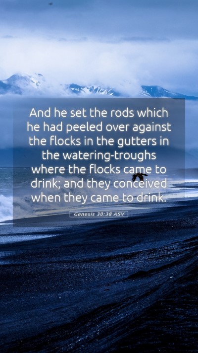 Picture 05 - Genesis 30:38 ASV Mobile Phone Wallpaper - And he set the rods which he had peeled over - Mobile Bible Verse Wallpaper