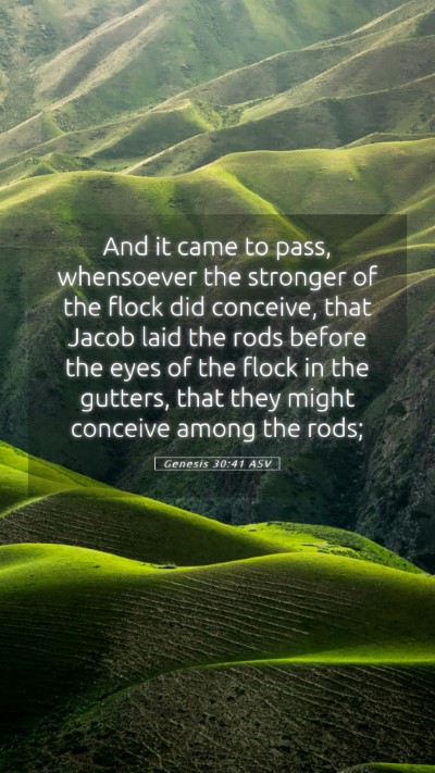 Picture 05 - Genesis 30:41 ASV Mobile Phone Wallpaper - And it came to pass, whensoever the stronger of - Mobile Bible Verse Wallpaper