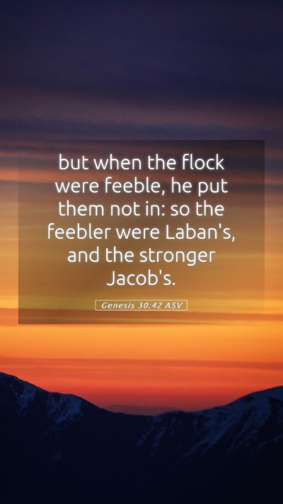 Picture 05 - Genesis 30:42 ASV Mobile Phone Wallpaper - but when the flock were feeble, he put them not - Mobile Bible Verse Wallpaper