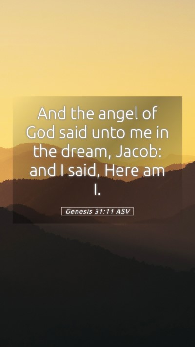 Picture 05 - Genesis 31:11 ASV Mobile Phone Wallpaper - And the angel of God said unto me in the dream, - Mobile Bible Verse Wallpaper