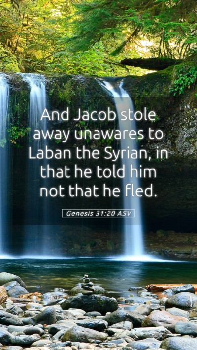 Picture 05 - Genesis 31:20 ASV Mobile Phone Wallpaper - And Jacob stole away unawares to Laban the - Mobile Bible Verse Wallpaper